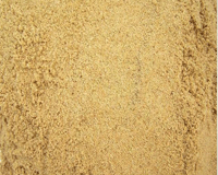 黃沙