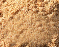 锯木粉