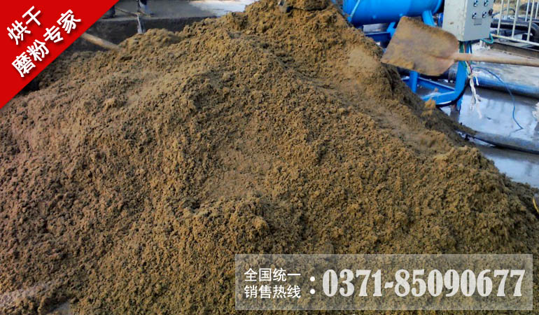 苹果渣